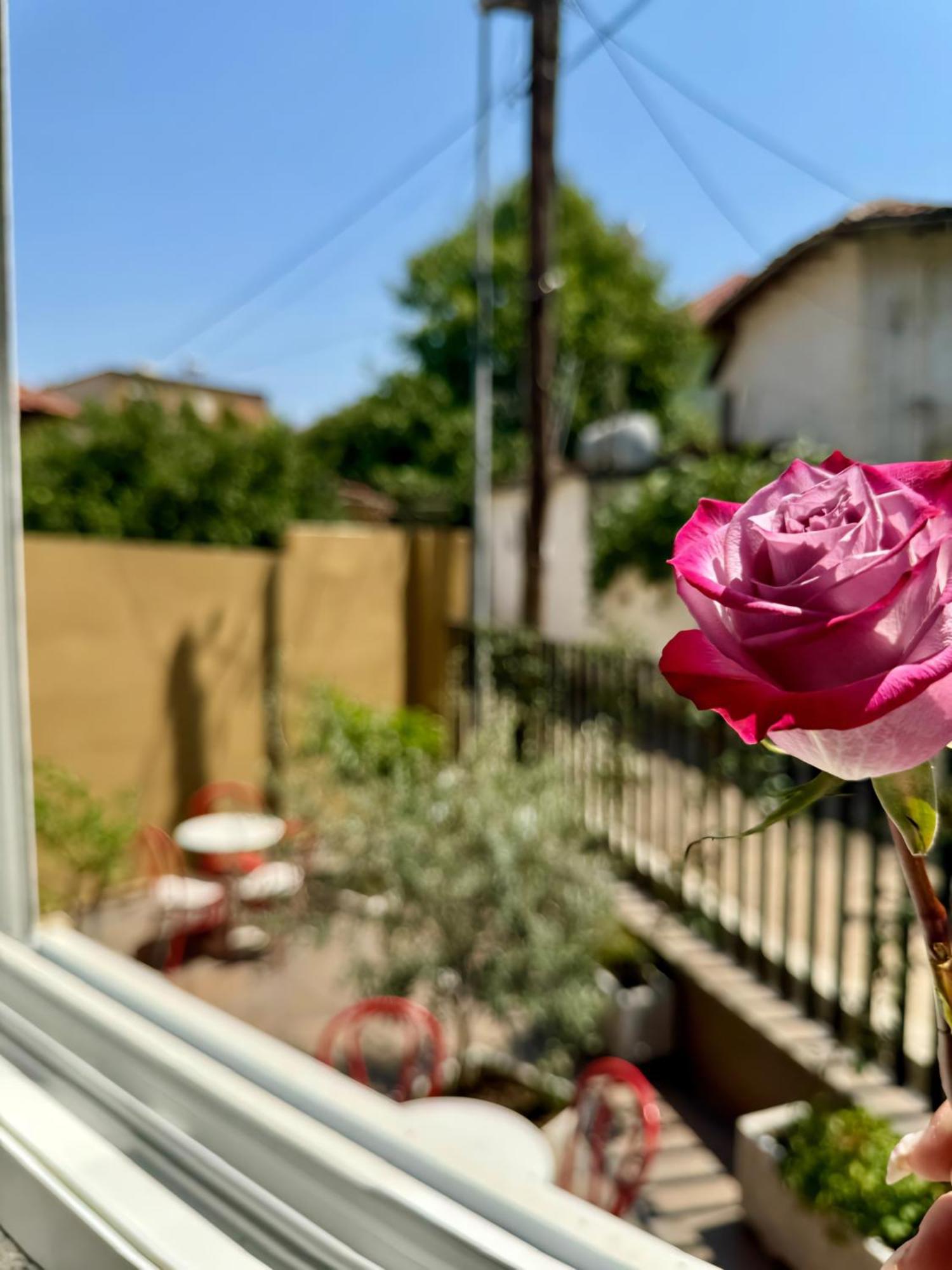 Vila Panto Tiranë Ngoại thất bức ảnh