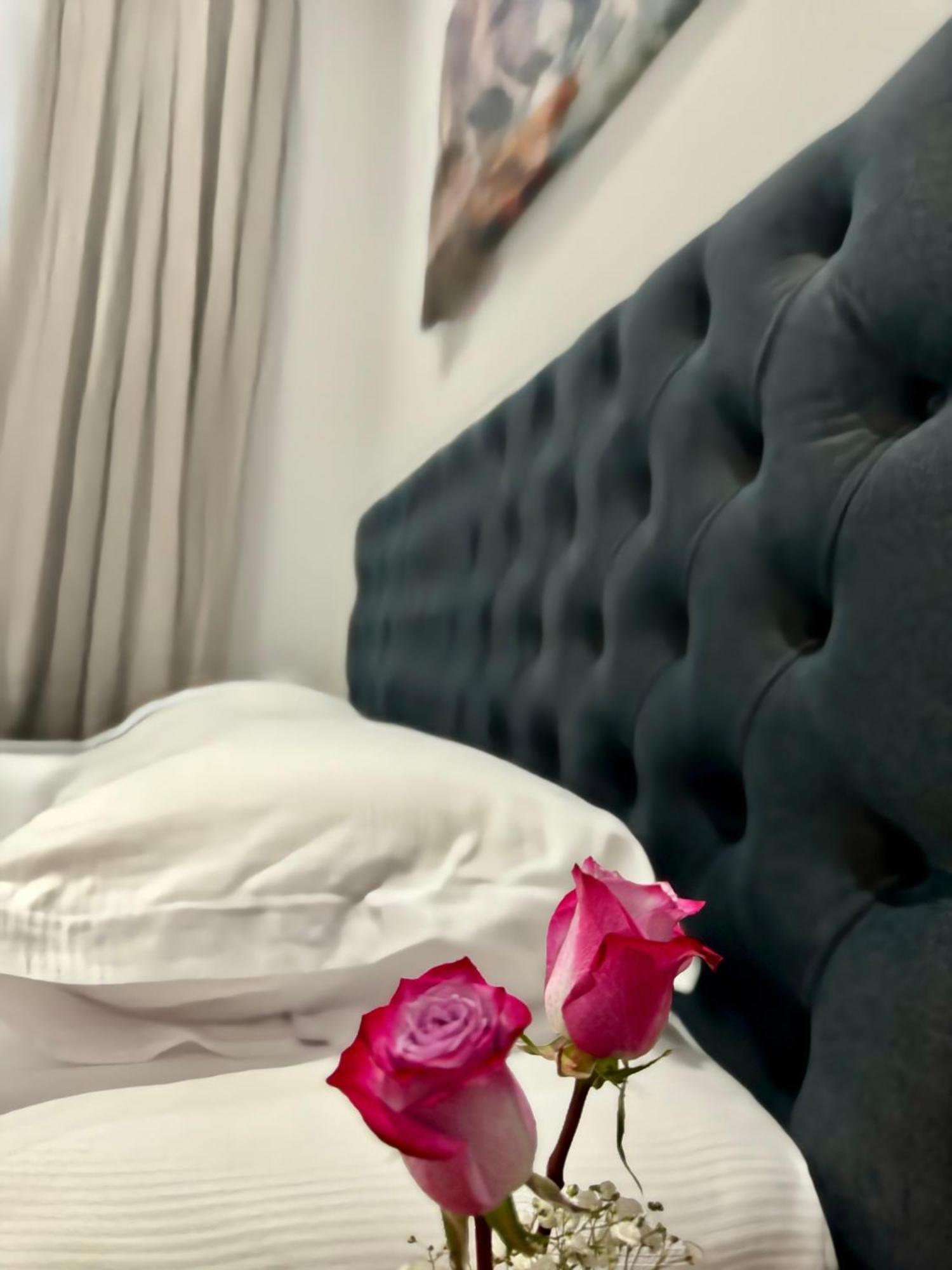 Vila Panto Tiranë Ngoại thất bức ảnh